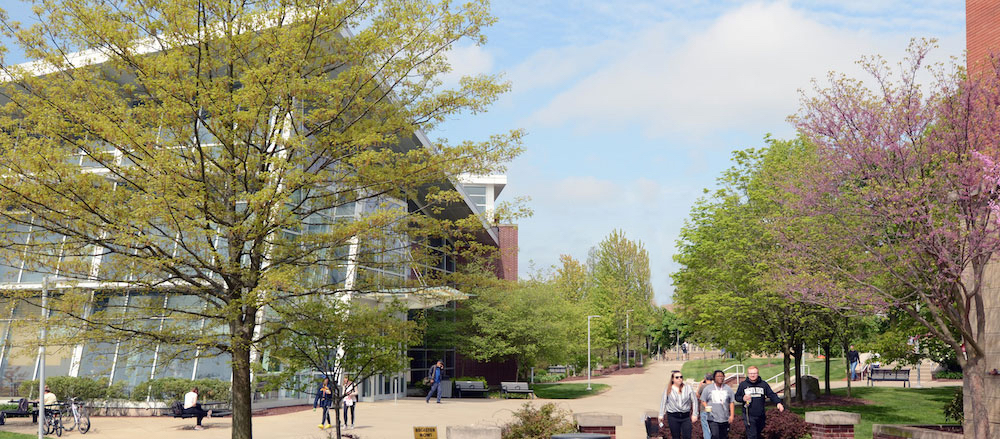 Students walk on campus for an undergraduate admissions event.