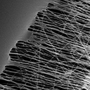 Electrospun Polymer Adhesives