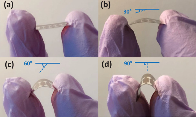 Flexible broadband photodetectors